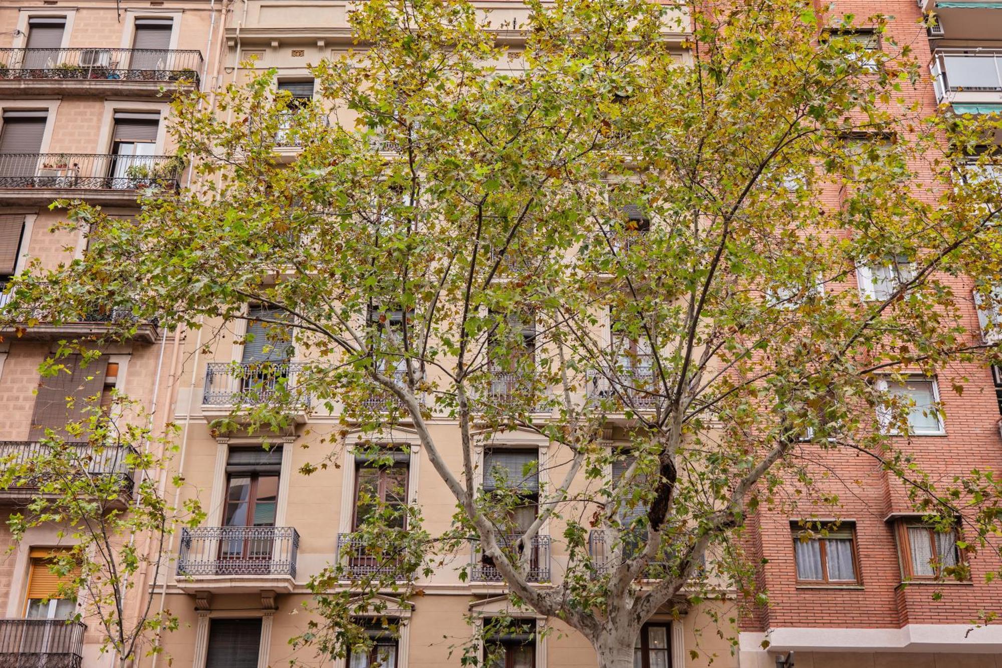 Sweett - Urgell Eixample — Fotos 3