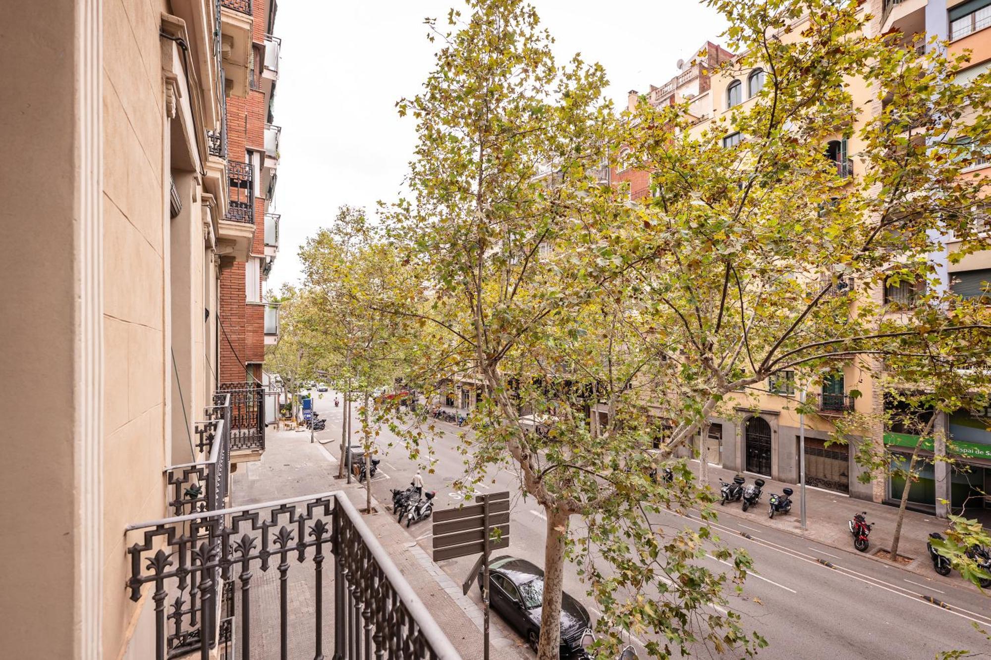 Sweett - Urgell Eixample — Fotos 2